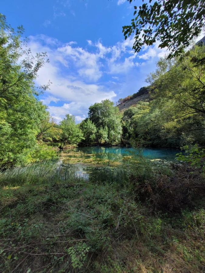 Kami The Essence Villa Danilovgrad Bagian luar foto